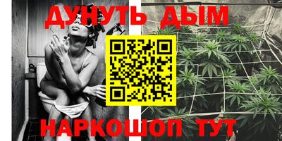 ALPHA PVP Пугачёв