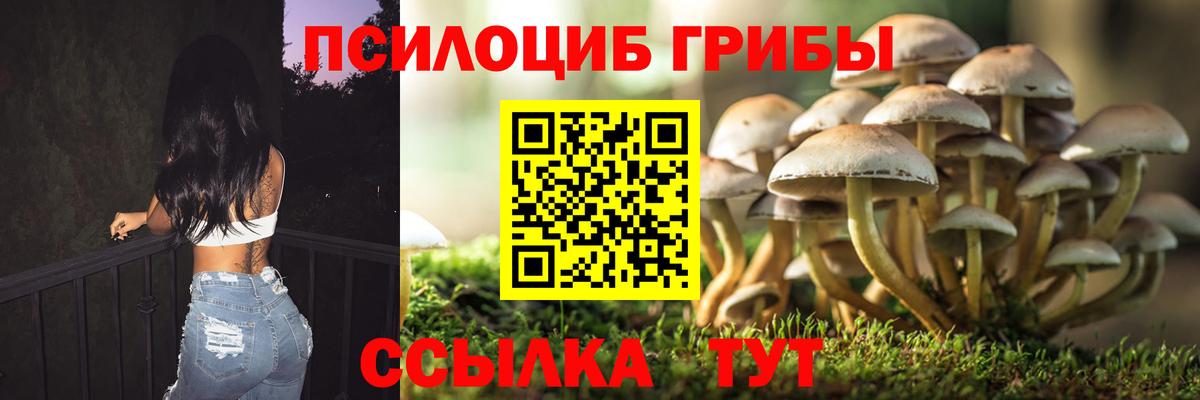 Галлюциногенные грибы мицелий  Вход с VPN  Южноуральск 